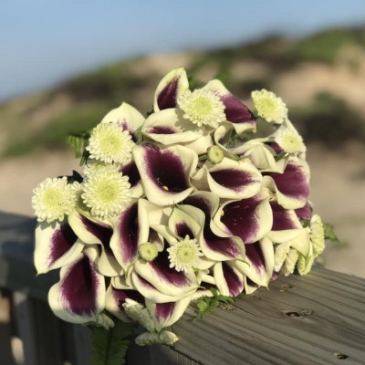 Purple calla lilies bouquet